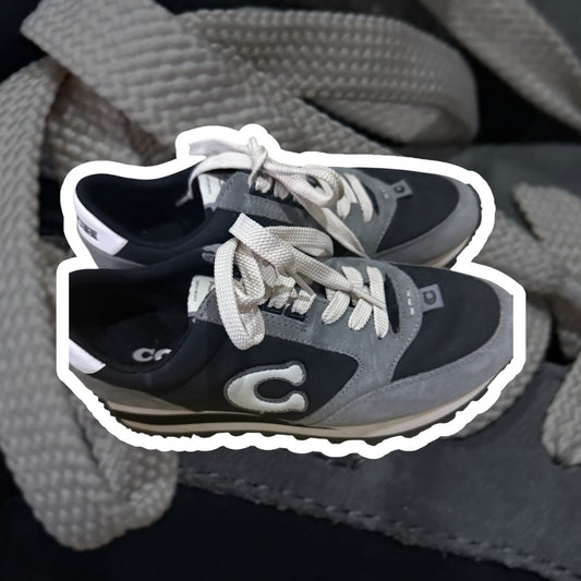 Tenis Coach
